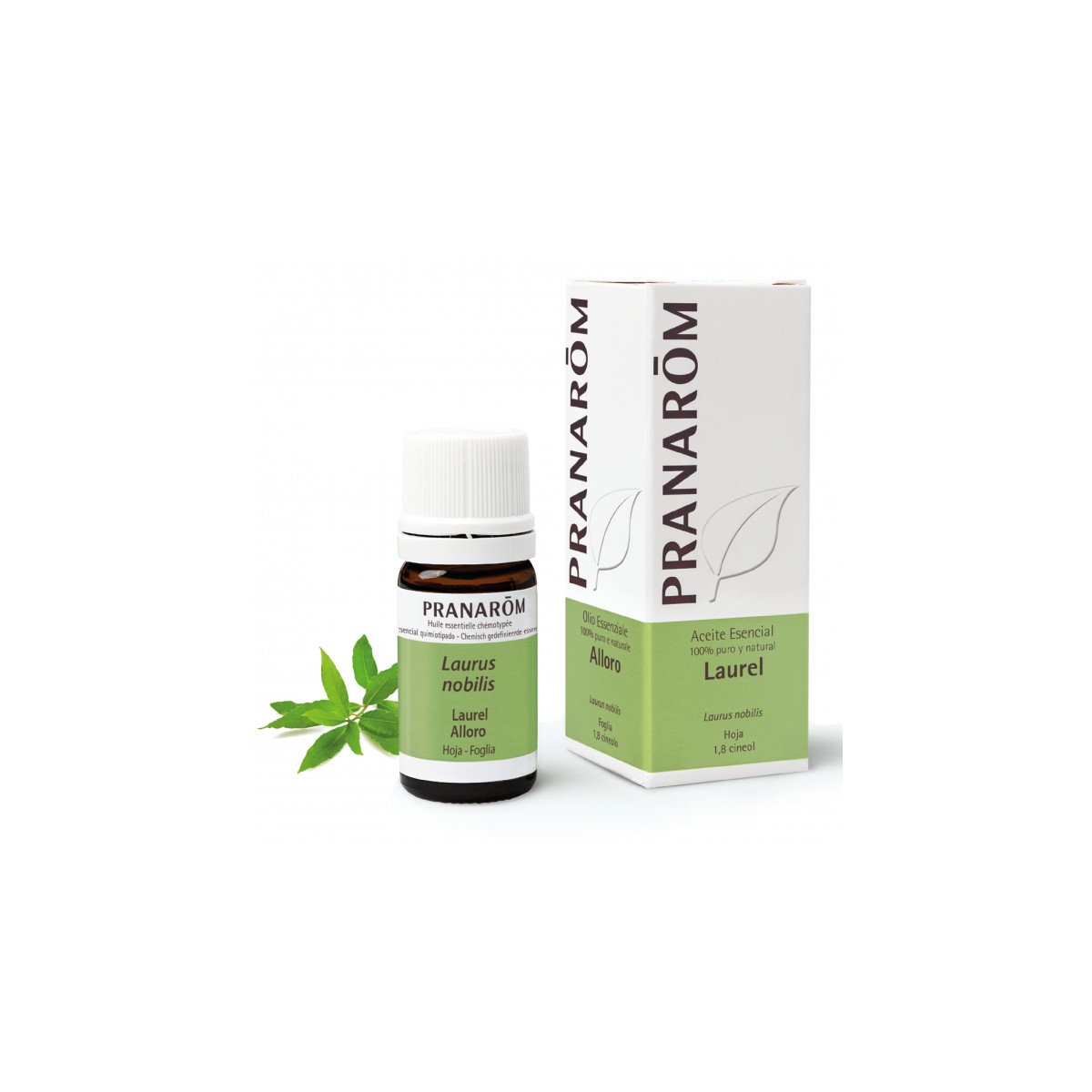 Laurel - 5 ml