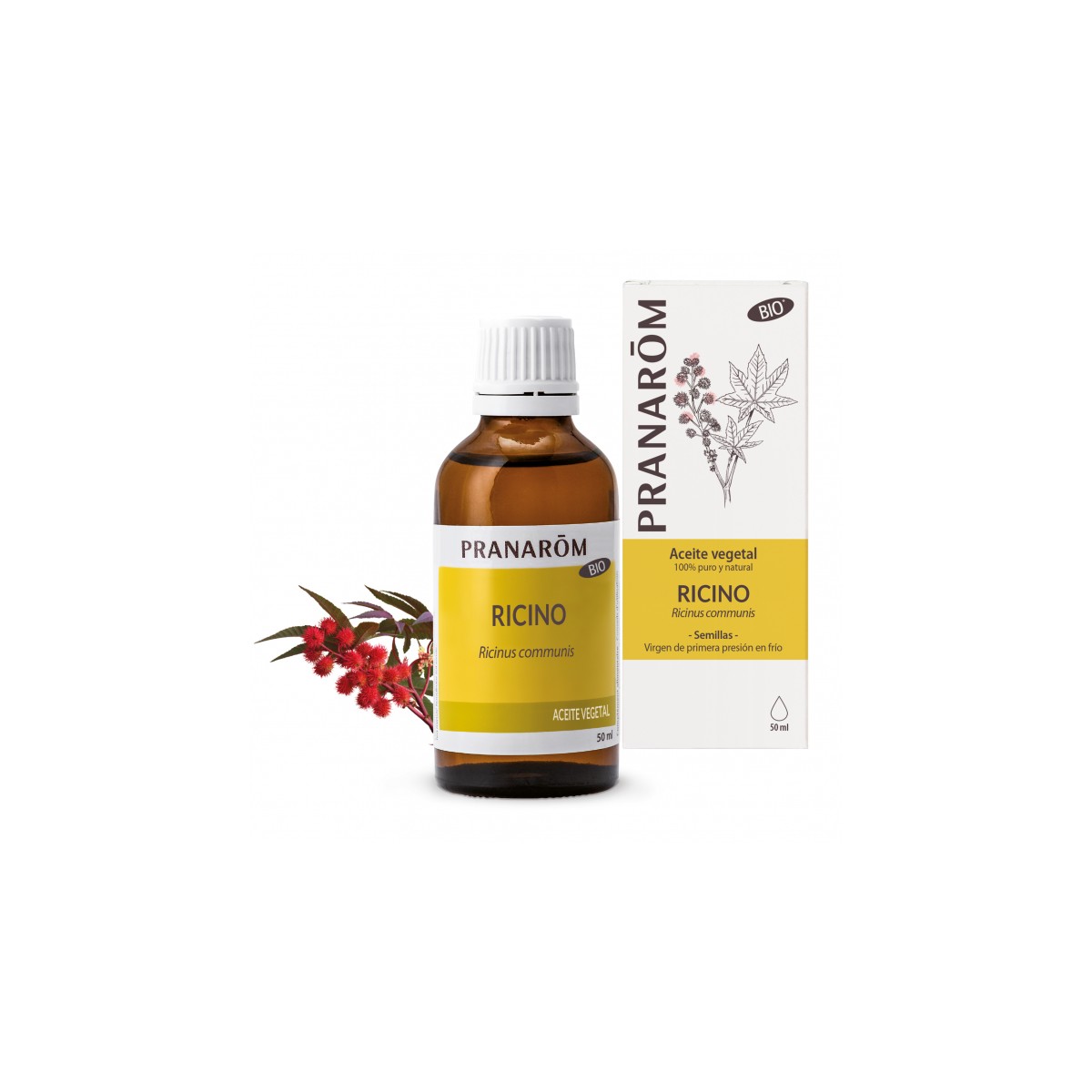 Ricino - 50 ml