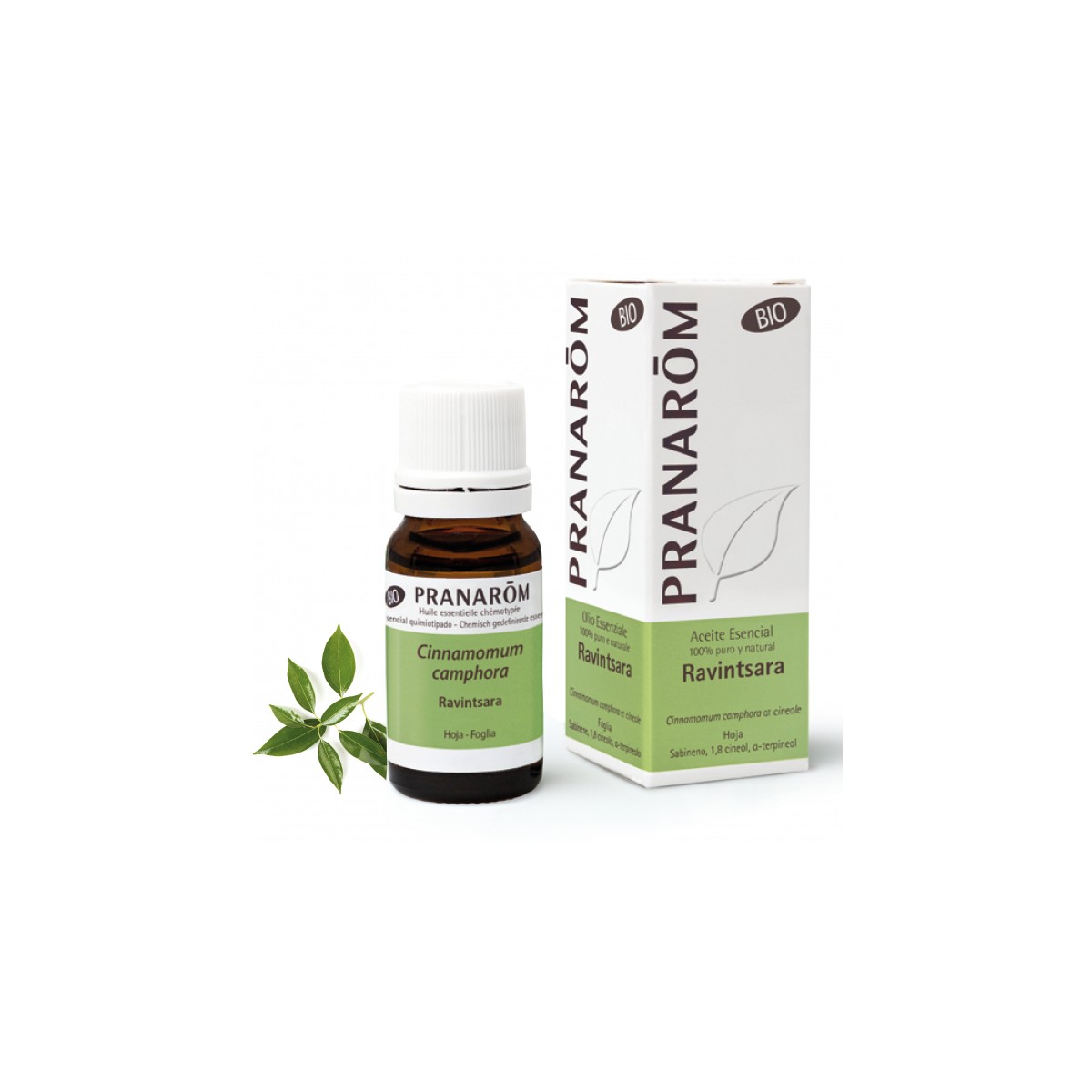 Ravintsara - 10 ml