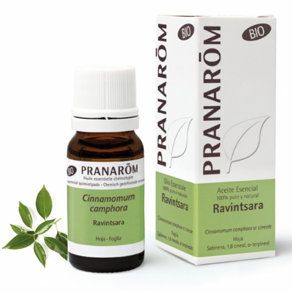 Ravintsara - 10 ml