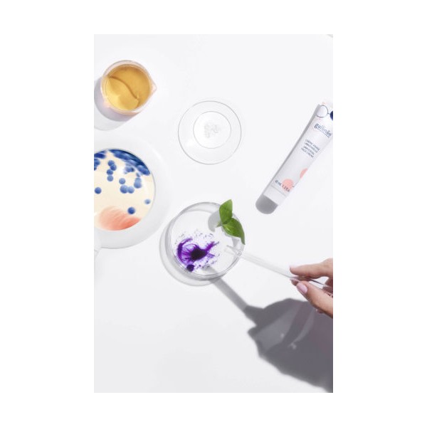 GALLINEE CREMA UNIVERSAL 40ML