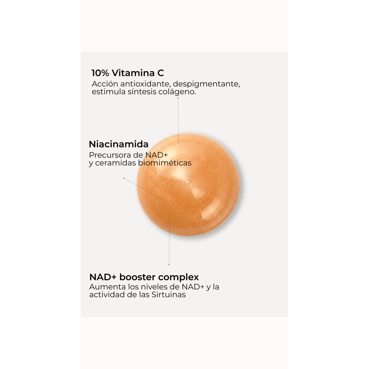 SEGLE SERUM FACIAL NAD+ Edición Limitada