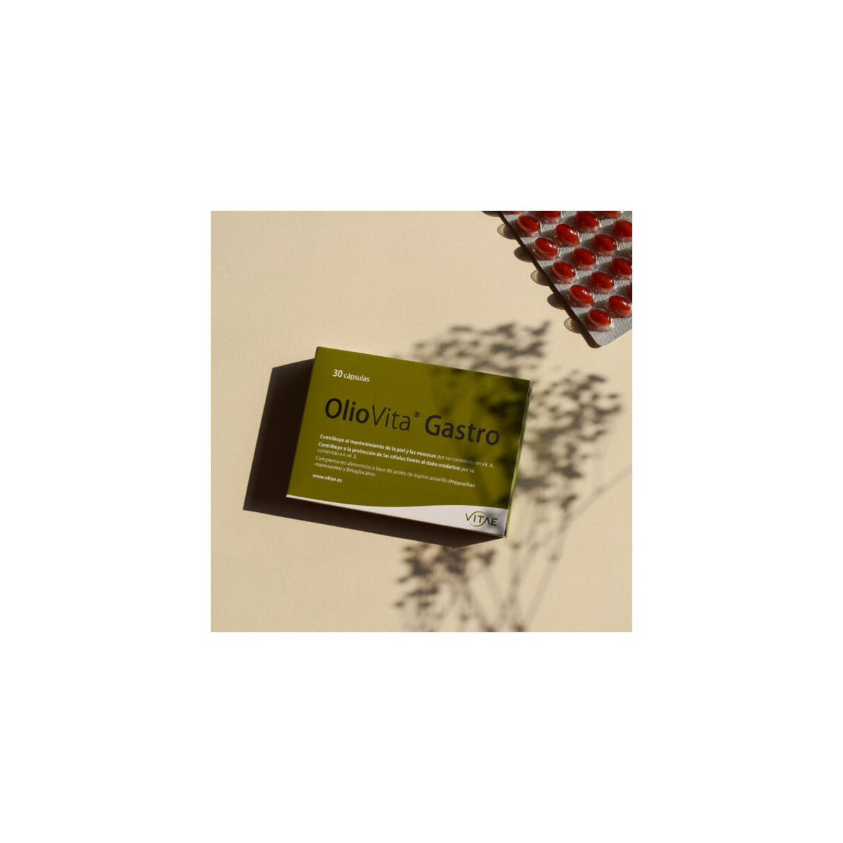 OLIOVITA GASTRO 60 CAPSULAS
