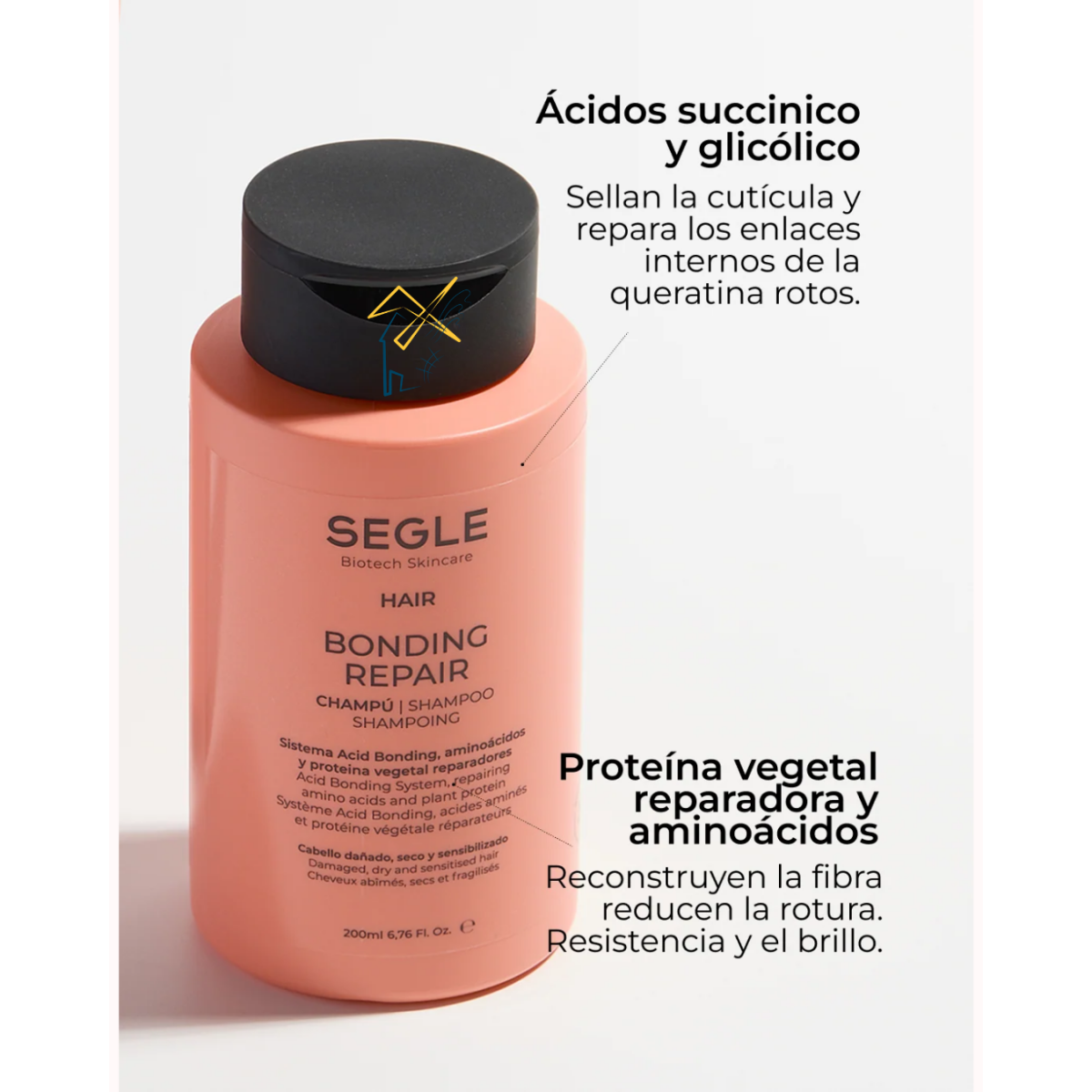 SEGLE Champú Bonding Repair Champú reparador...
